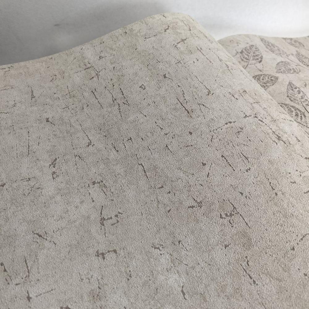 Andrea Rossi Berggi 54442-6