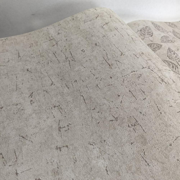 Andrea Rossi Berggi 54442-6