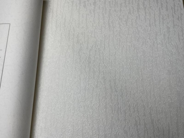 NC Antivandal 4010-26