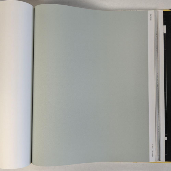 Andrea Rossi Cavolli 54418-11