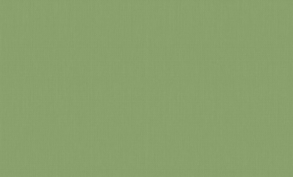 A. Grifoni Palazzo Ragione 7028-9