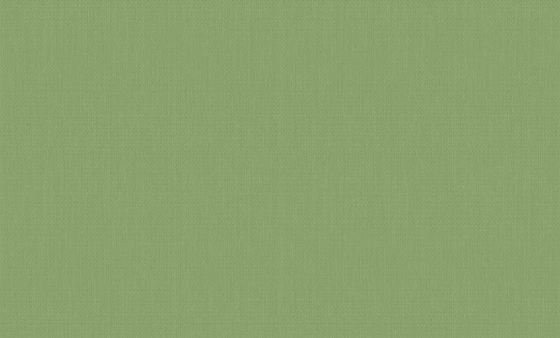 A. Grifoni Palazzo Ragione 7028-9