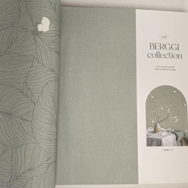 Andrea Rossi Berggi 54452-8