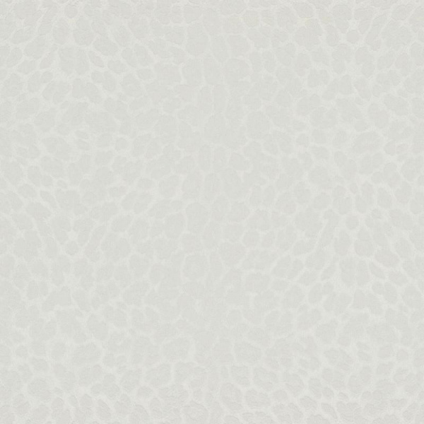 Zambaiti Parati Philipp Plein Z 80041