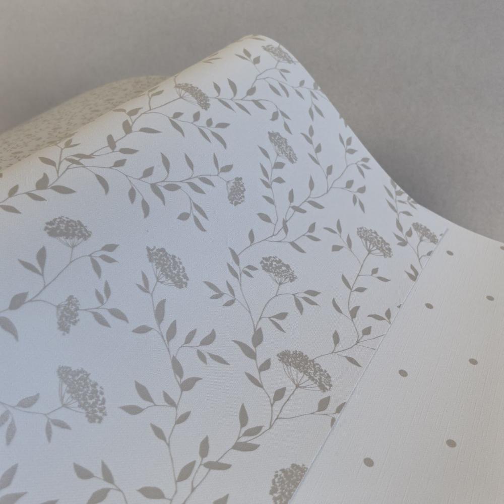 Andrea Rossi Spectrum Box 54456-1