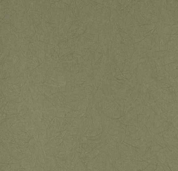 Обои Bernardo Bartalucci Legend 5068-49