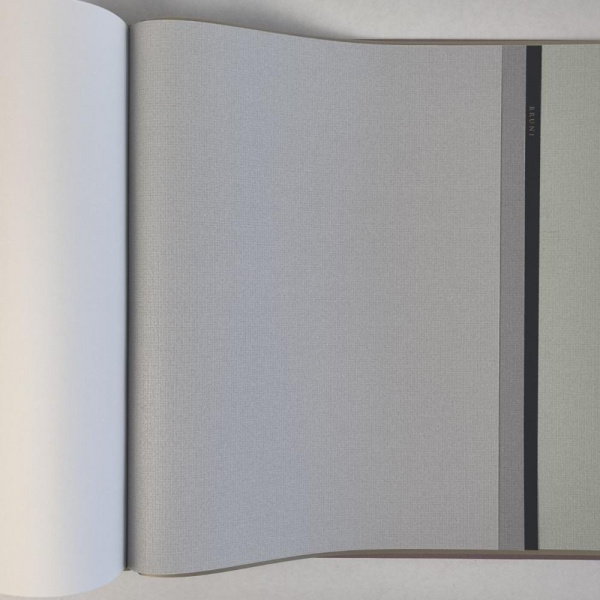 Alessandro Allori Bruni RBN 1005-13