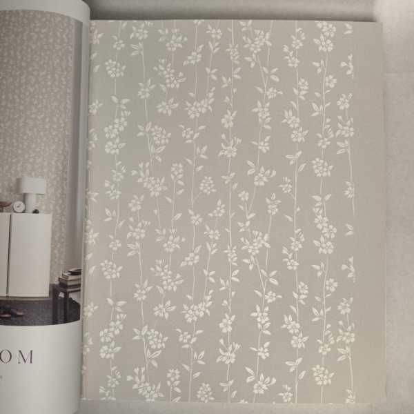 Andrea Rossi Berggi 54451-2