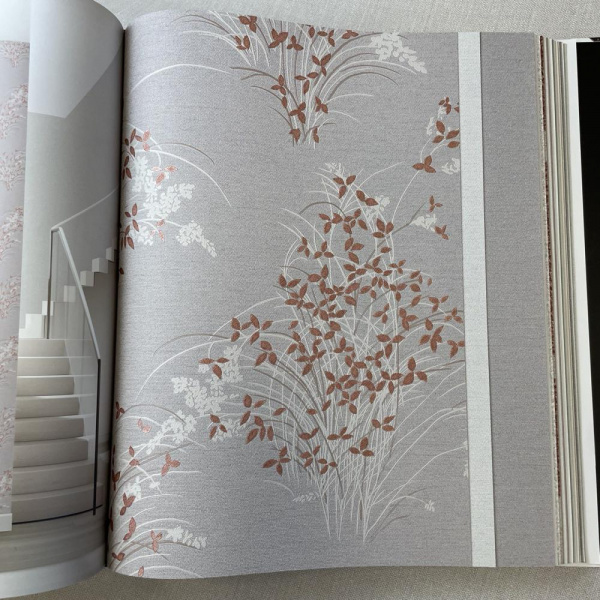 Andrea Rossi Palmaria 54468-6