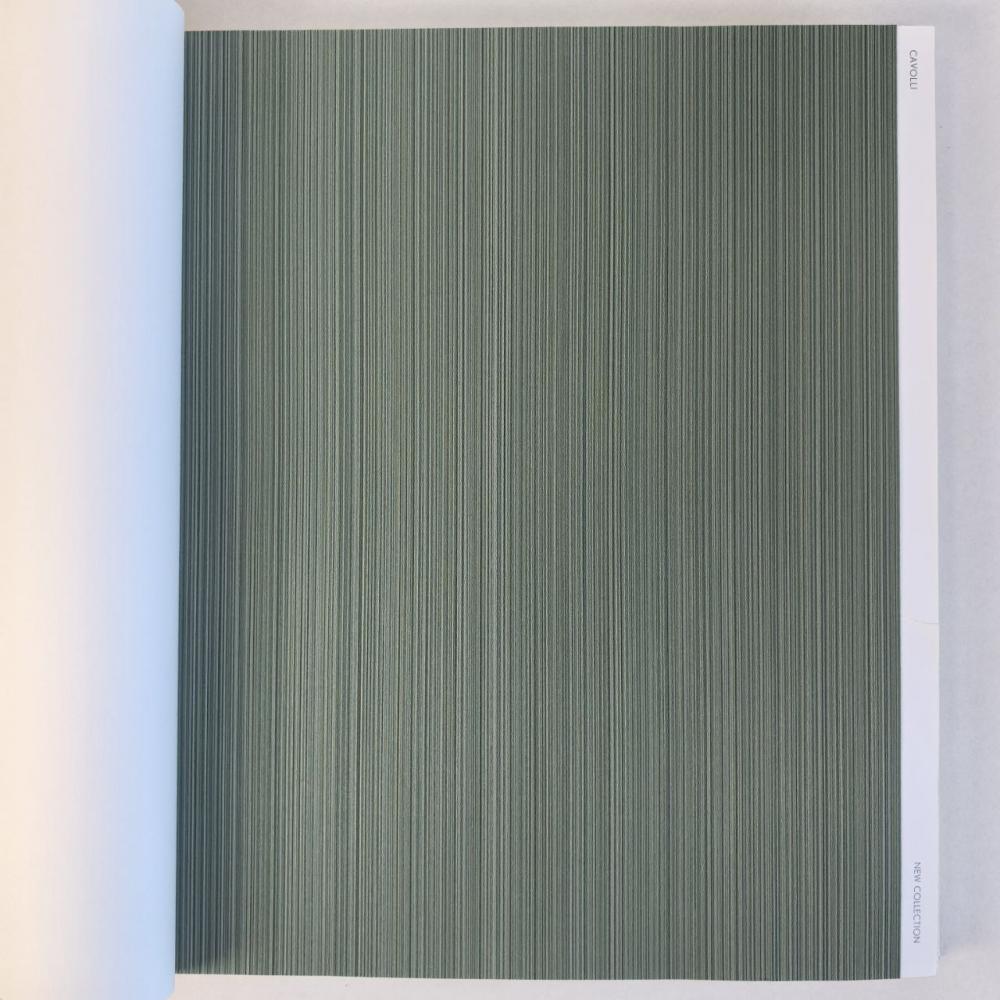 Andrea Rossi Cavolli 54425-8