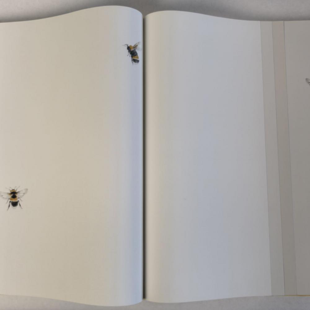 Andrea Rossi Cavolli 54418-1