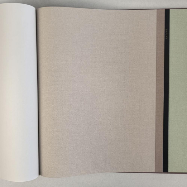 Alessandro Allori Bruni RBN 1003-8