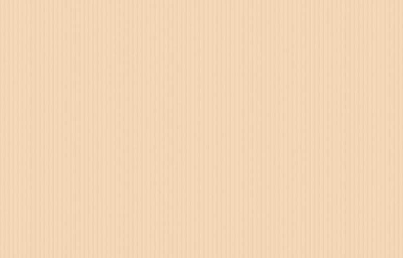 Loymina Shade SD5 002_3