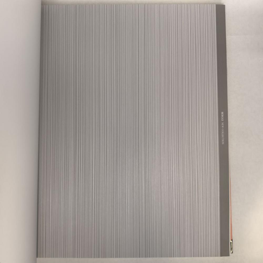 Andrea Rossi Berggi 54447-9