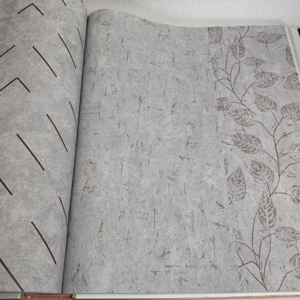 Andrea Rossi Berggi 54442-5