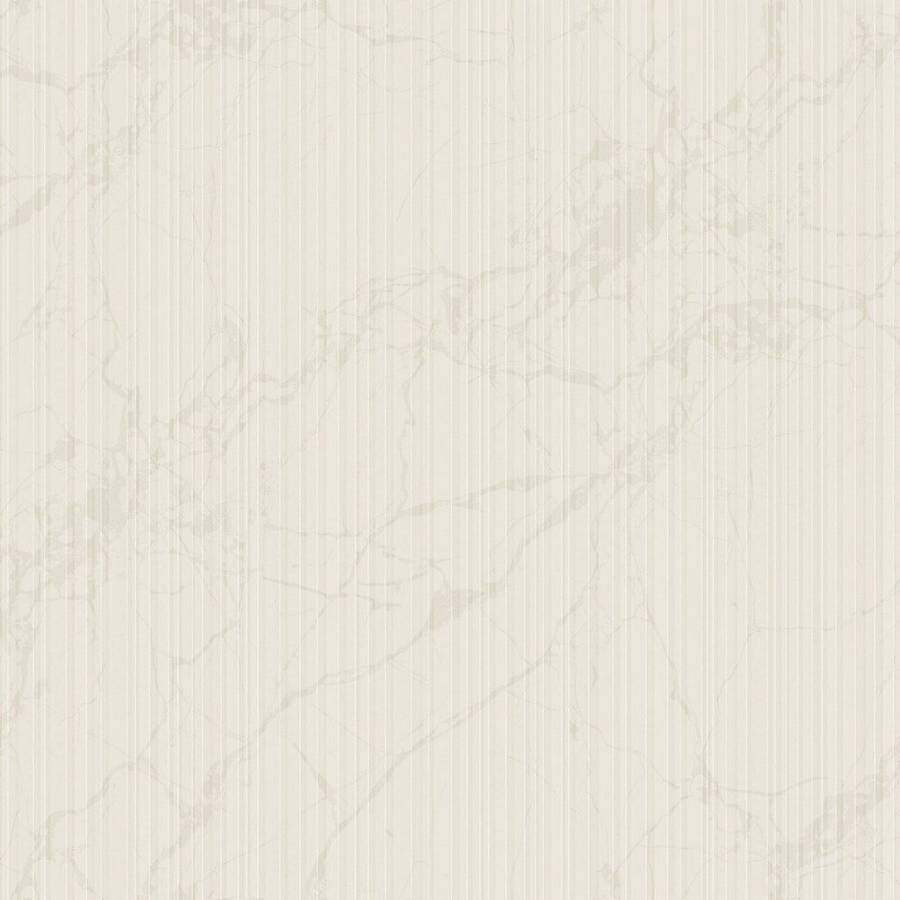 Zambaiti Parati Philipp Plein Z 81020