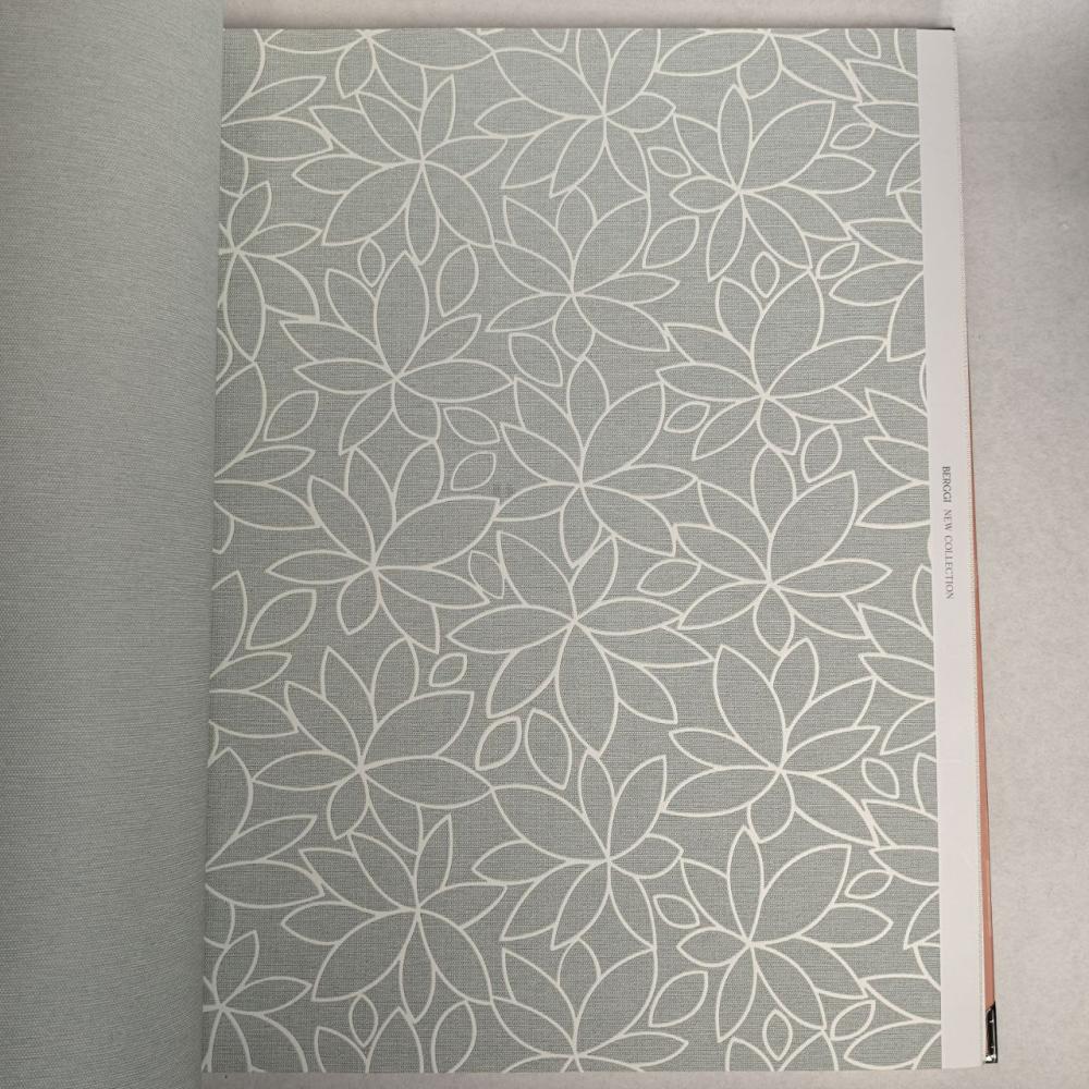 Andrea Rossi Berggi 54444-5