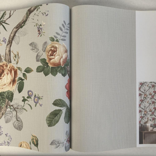 Andrea Rossi Cavolli 54420-10