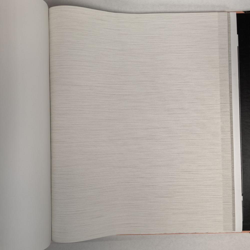 Andrea Rossi Berggi 54438-1