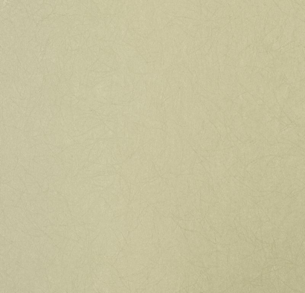 Обои Bernardo Bartalucci Legend 5068-87