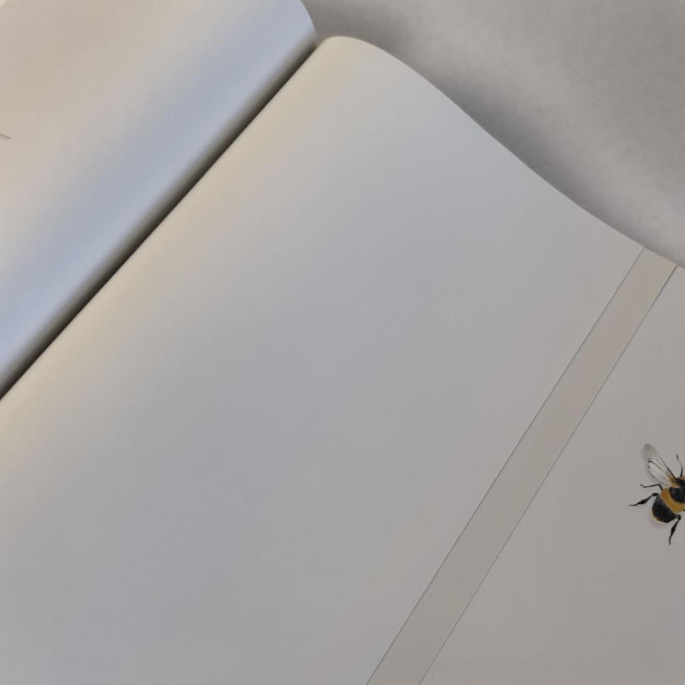 Andrea Rossi Cavolli 54418-2