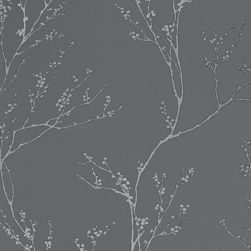 Andrea Rossi Spectrum Pro 54386-3