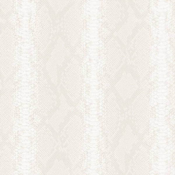 Zambaiti Parati Philipp Plein Z 81033